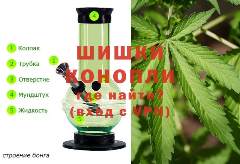 Бошки марихуана White Widow  Яровое 